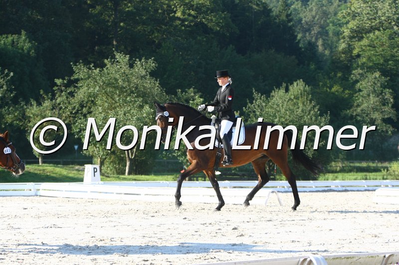 109M6290_Cool cat_Dressur L_Mannschaft.JPG